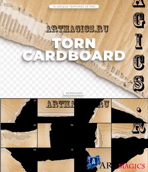 12 Torn Cardboard Textures - QD8MV9S