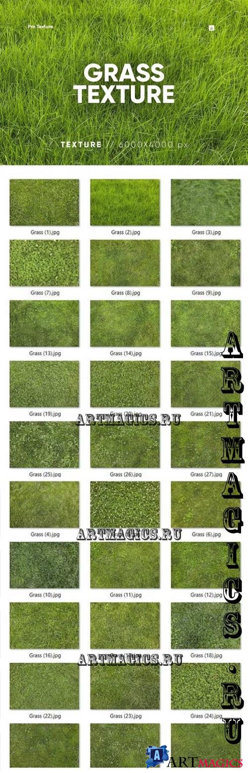 30 Grass Texture HQ - 279728282