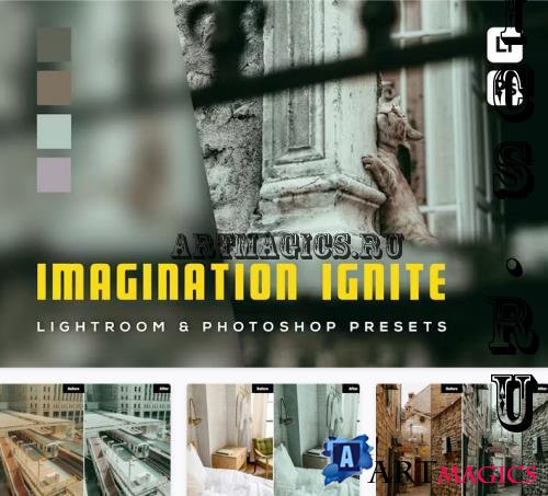 6 Imagination Ignite Lightroom Presets - T9UFXRH