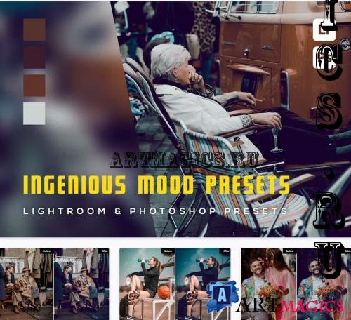 6 Ingenious Mood Presets Lightroom Presets - PTWNBW7