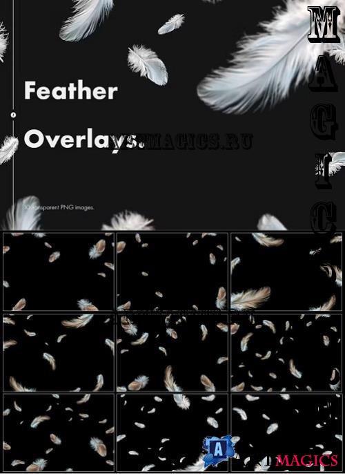 Feather Overlays - 9BQ2DLC