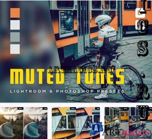 6 Muted Tones Lightroom and Photosop Presets - FRMG7MN