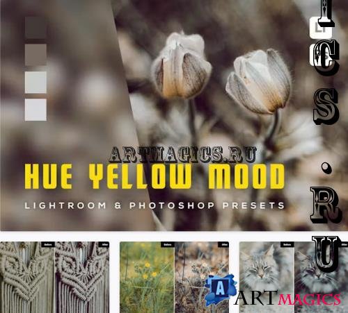 6 Hue Yellow Mood Lightroom and Photoshop Presets - YPT8D8G