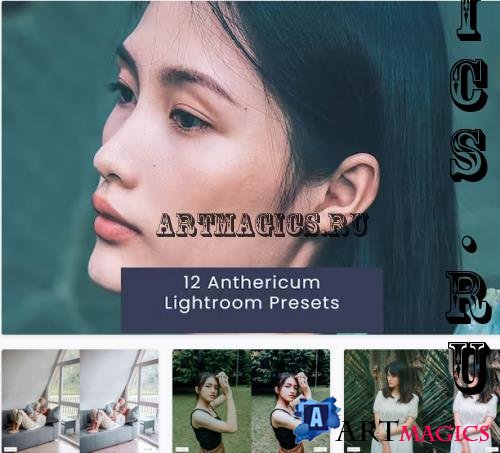 12 Anthericum Lightroom Presets - AKHDBEU