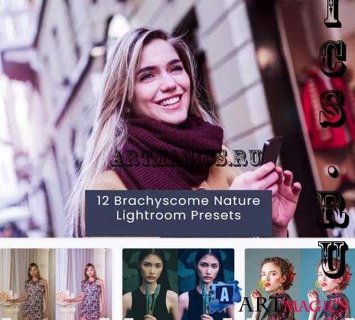 12 Brachyscome Nature Lightroom Presets - 49HT3SH