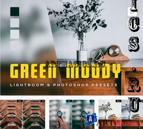 6 Green Moody Lightroom and Photoshop Presets - DZU6F39