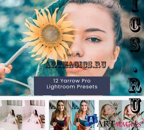 12 Yarrow Pro Lightroom Presets - YLU6692