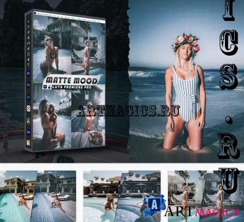 Matte Mood Presets - luts Video Premiere Pro - TUFCRDJ