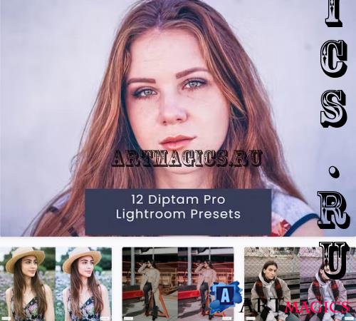 12 Diptam Pro Lightroom Presets - A52VKZB