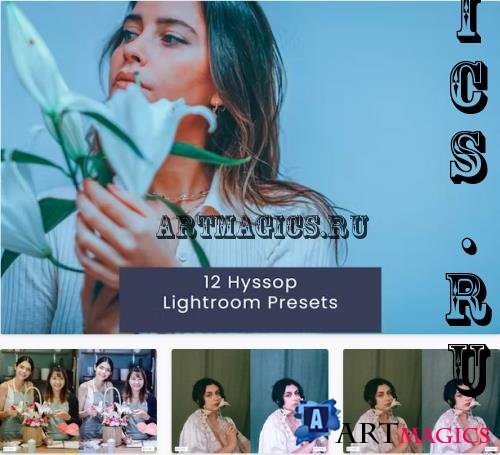 12 Hyssop Lightroom Presets - 9634Y8F