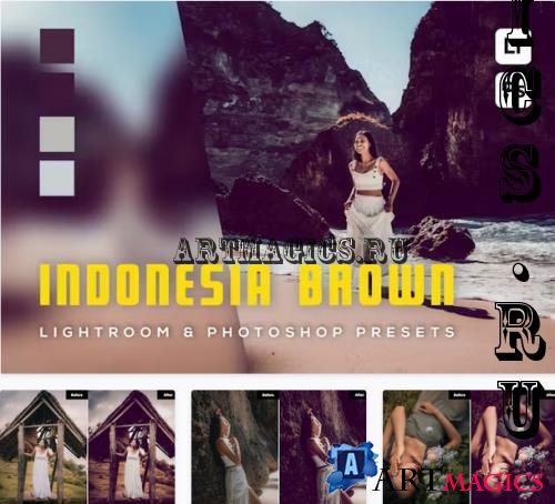 6 Indonesia Brown Lightroom and Photoshop Presets - TBU4CLY