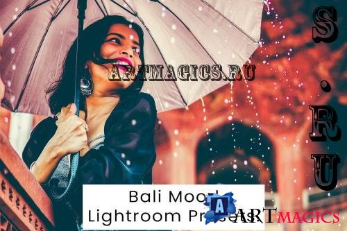 Bali Mood Lightroom Presets - AJKDCNK