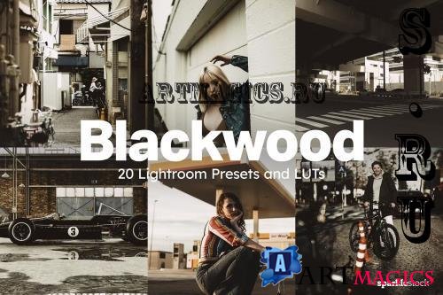 20 Blackwood Lightroom Presets LUTs - 283079253