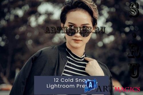 12 Cold Snap Lightroom Presets - QXGZQ8N