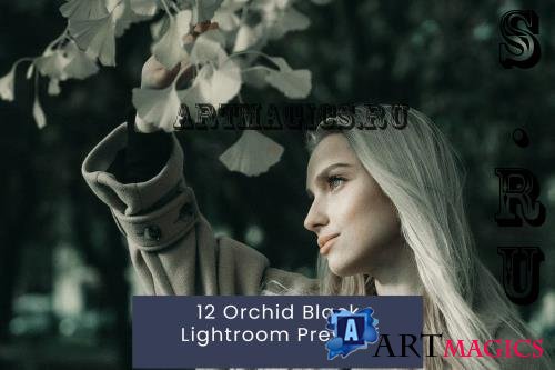 12 Orchid Black Lightroom Presets - 8LQ65DU