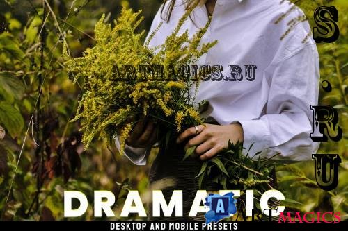 Dramatic - Desktop and Mobile Presets E9RJS8D