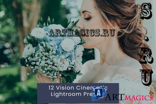 12 Vision Cinematic Lightroom Presets - E88S34Z