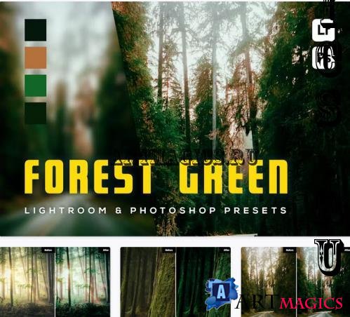 6 Forest Green Lighroom and Photoshop Presets - 7YLVXUR