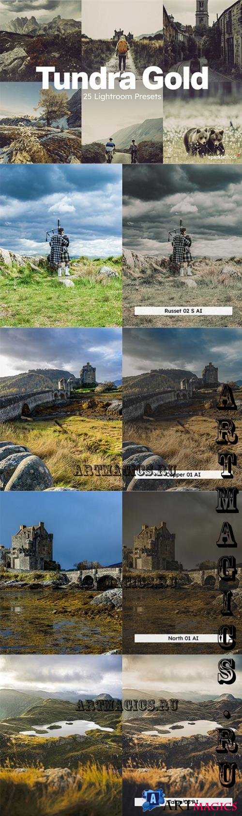 20 Tundra Gold Lightroom Presets LUT - 283913618