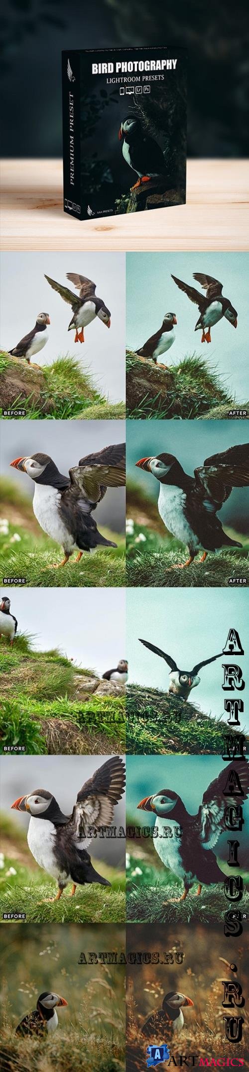 Bird Photography Wildlife Cinematic Lightroom Presets - 54076202