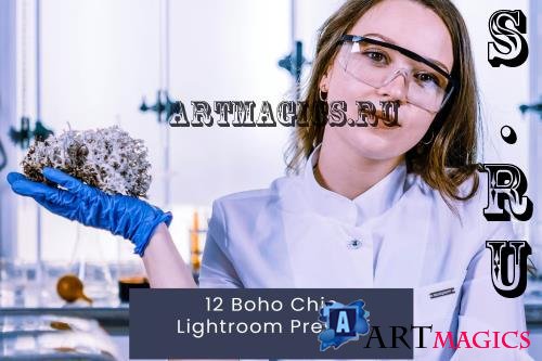 12 Boho Chic Lightroom Presets - UZCN3DK