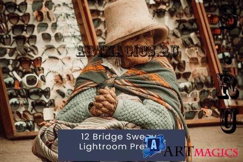 12 Bridge Sweave Lightroom Presets - NPCUDEN