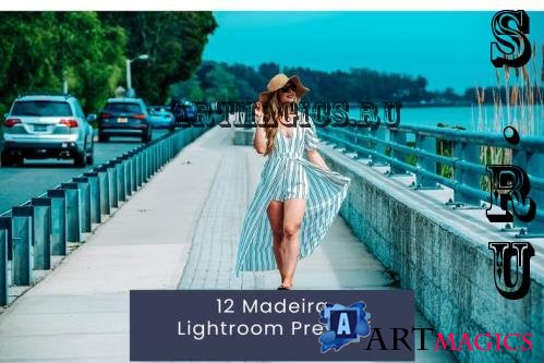 12 Madeira Lightroom Presets - CERCHEU