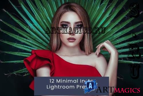 12 Minimal Insta Lightroom Presets - R3GCN3U