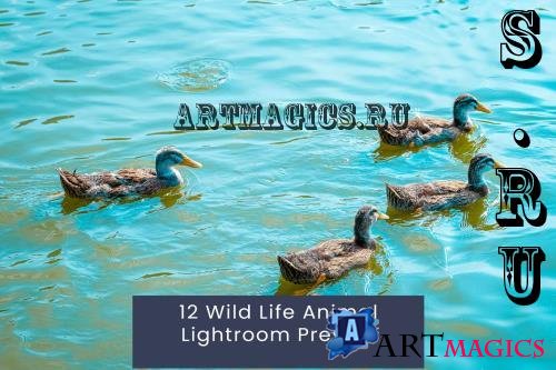 12 Wild Life Animal Lightroom Presets - GKQV2BY