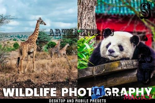 Wildlife - Desktop and Mobile Presets - NNGSCBZ