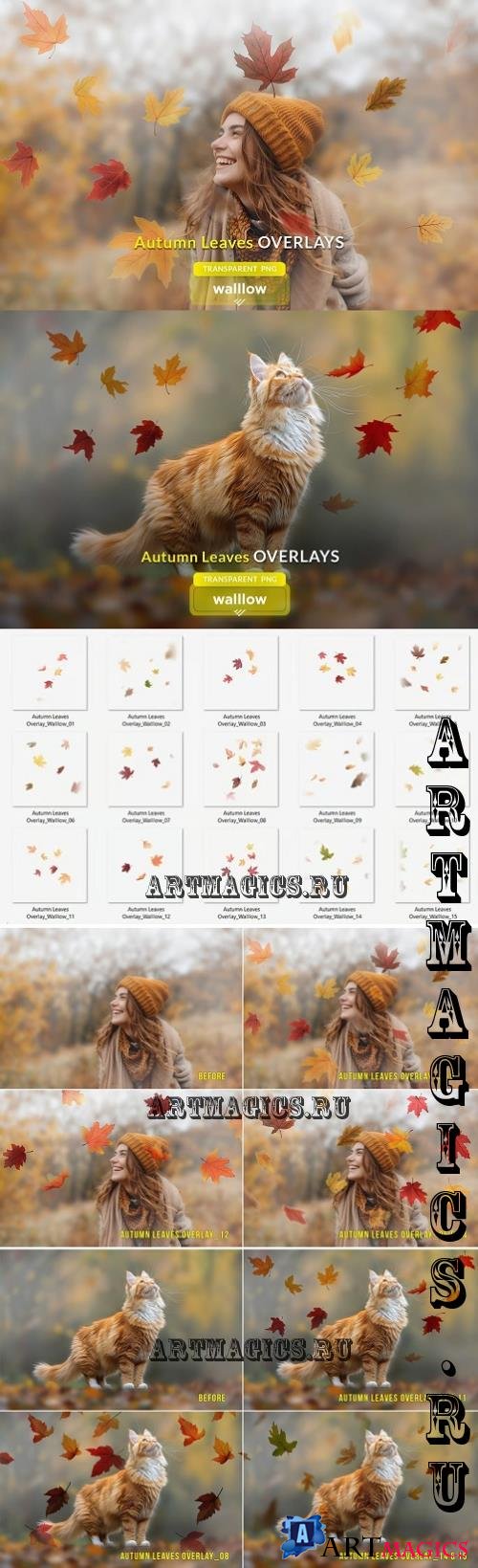 Fall Autumn Leaves Photo Overlays - 287442969