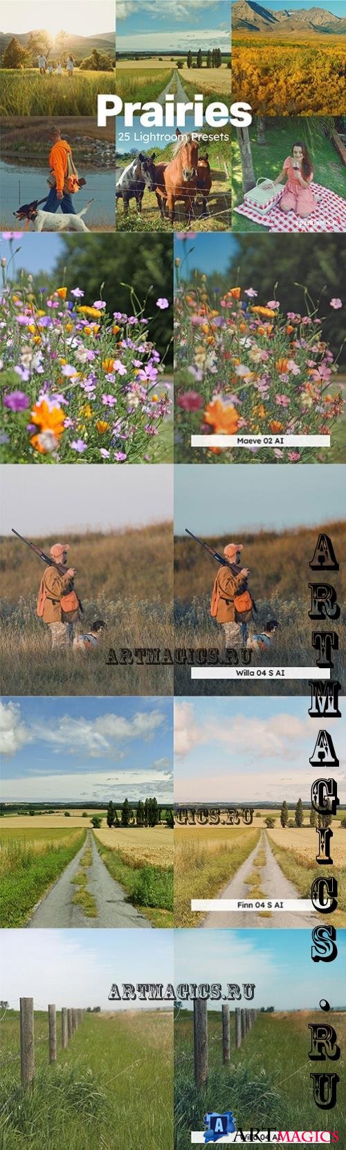 20 Prairies Lightroom Presets LUTs - 287591669