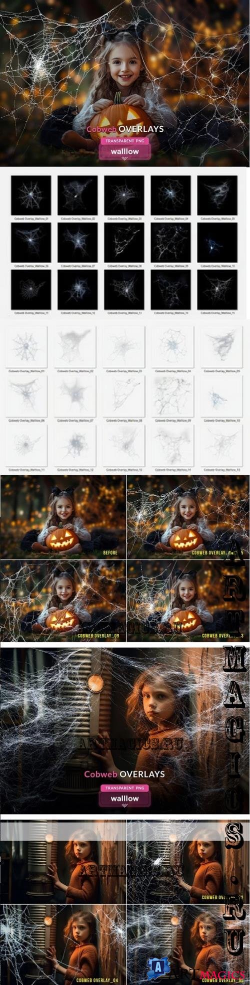 Cobweb PNG Overlay Halloween Clipart - 287852563