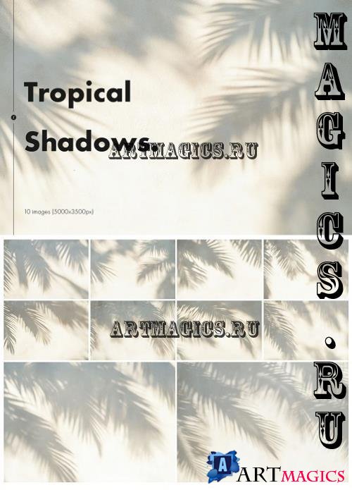 Tropical Shadows Backgrounds - 9UYED5F