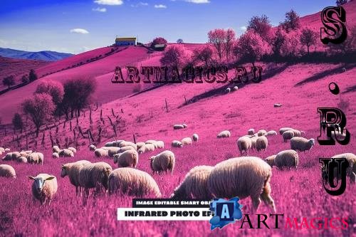 Infrared Photo Effect - 288825281