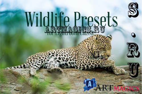 Wildlife Presets for Lightroom Classic - ULZ3J96