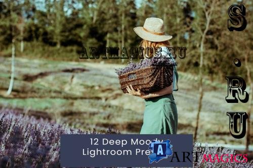 12 Deep Moody Lightroom Presets - NBF6XNX