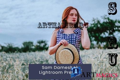 Sam Dameshek Lightroom Presets - 8HM79RQ