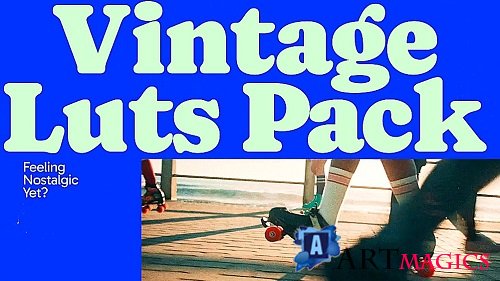 Vintage Luts 3048489 - Premiere Pro/After Effects/FCP/DaVinci Resolve