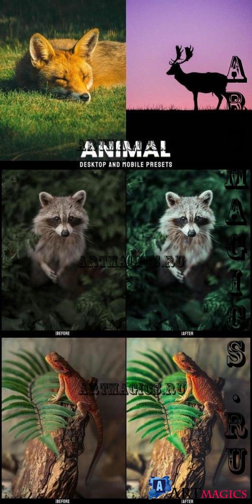 Animal  Desktop and Mobile Presets - AW9MT4N