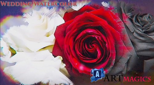 Wedding Watercolor 98841 - After Effects Templates