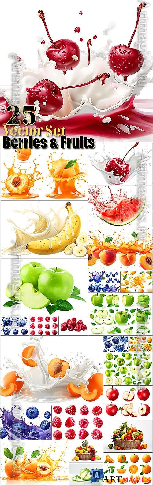 Berries, fruits vector collection - raspberry, strawberry, peach, watermelon, blueberry, banana, apple, cherry, grapes, pineapple, apricot