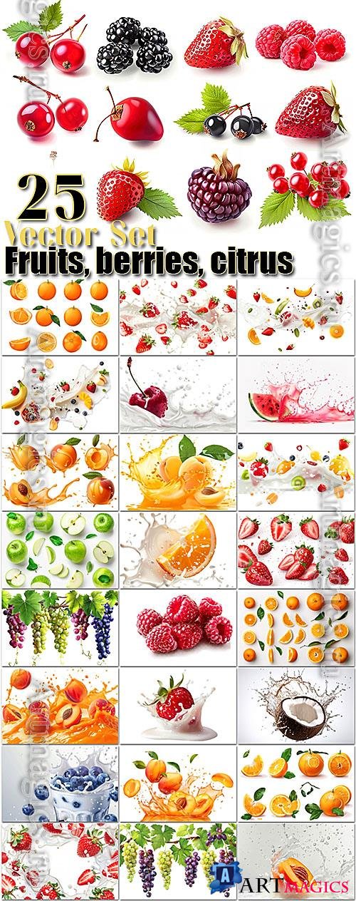 Fruits, berries, citrus - 25 set vector bundle design