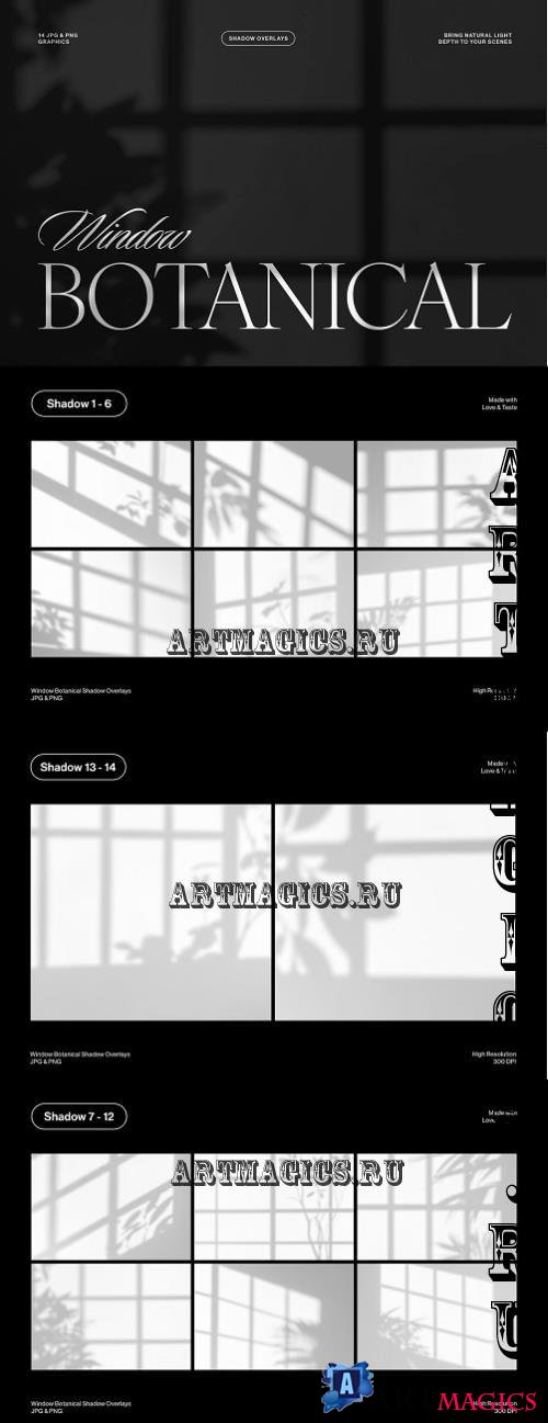 Window Botanical Shadow Overlays - 2WHH72Y