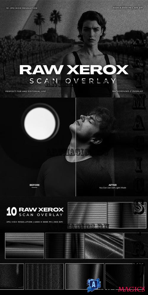 Raw Xerox Scan Overlay - 291399531 - 4P39Z59