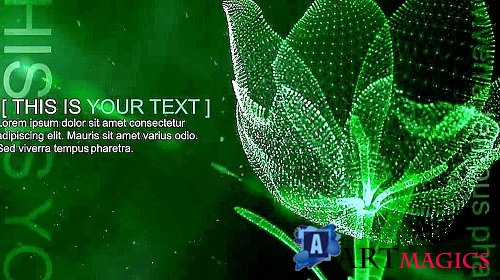 MA Fluid Flower 248491 - Project for After Effects